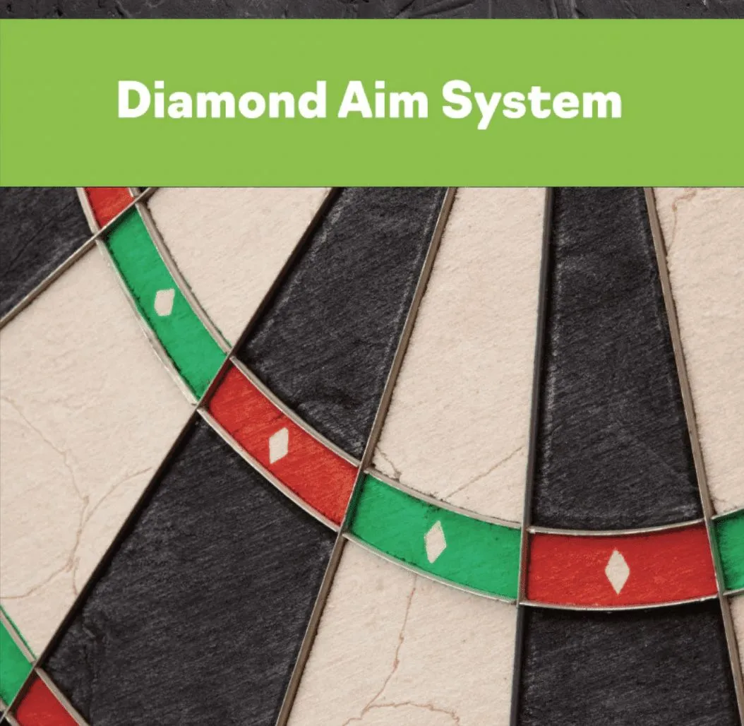 League Aim English Tournament Dart Board - Image 2